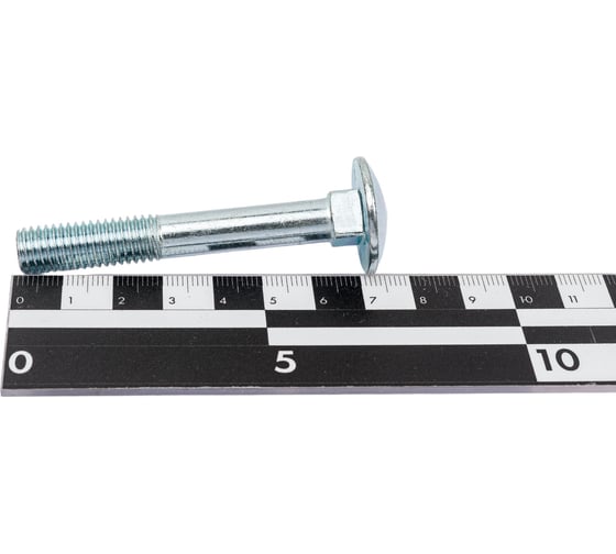 Мебельный болт STEELREX DIN 603, цинк, М10x70 мм, 10 шт. 0213010070B400001032