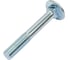 Мебельный болт STEELREX DIN 603, цинк, М10x70 мм, 10 шт. 0213010070B400001032 1