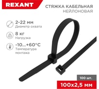 Хомут REXANT nylon 100x2.5 мм 100 шт черный 07-0101