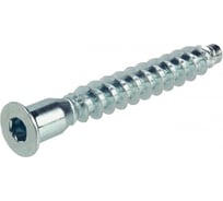 Винт-конфирмат BEFAST 7x50 мм, внутренний шестигранник, 200 шт. K750SH200S