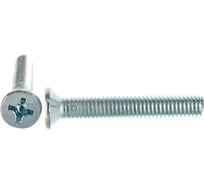 Оцинкованный винт с потайной головкой Стройбат DIN 965 М6x40 мм 40 шт. 2631166 106311
