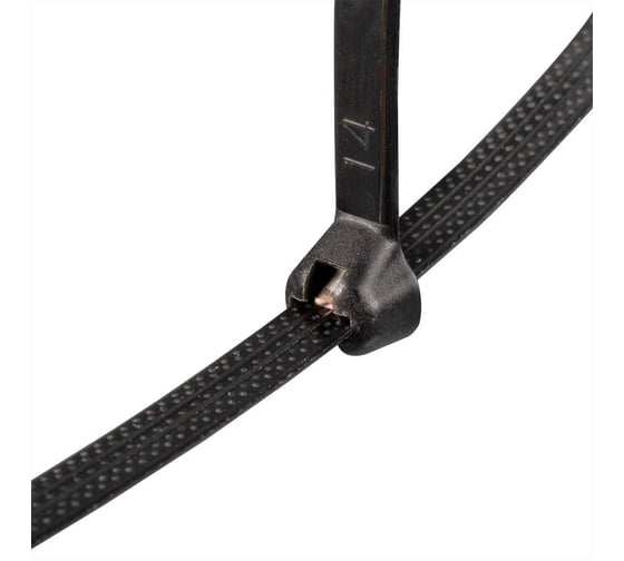 Нейлоновые стяжки Fortisflex КСЗ 5x250 мм, черный, 100 шт. 90333