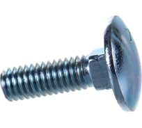 Болты Госкреп DIN603 М6х20, 2 шт. 12-0016150