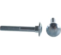 Болты Госкреп DIN603 М8х50, 2 шт. 12-0016360