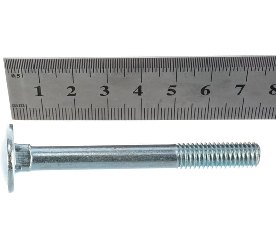 Болты Госкреп DIN603 М8х70, 2 шт. 12-0016380
