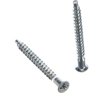 Шурупная стяжка Element 5,0x50 PZ белый цинк 20 шт 020780