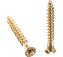 Шурупная стяжка Element 6,3x50 PZ латунирован. 70 шт 307510