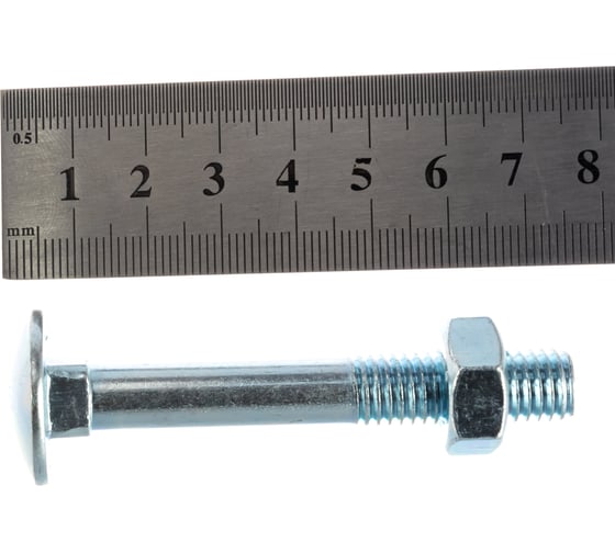 Мебельный болт Element DIN 603 10x70 с гайкой, белый цинк 2 шт 021260