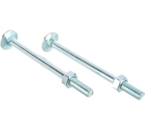 Мебельный болт Element DIN 603 8x100 с гайкой, белый цинк 2 шт 021330