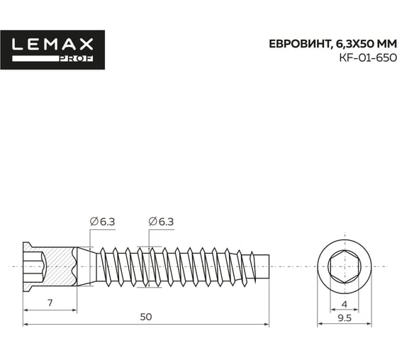 Набор евровинтов Lemax prof 100 шт. 6,3x50 мм SET(KF-01-650)