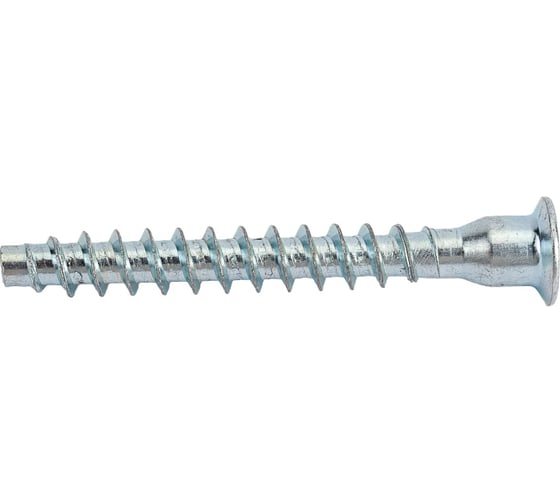 Набор евровинтов Lemax prof 100 шт. 6,3x50 мм SET(KF-01-650)
