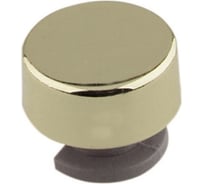 Зеркалодержатель Trodos 101 D17 4шт, золото 304002