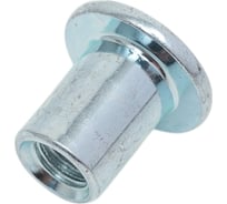 Гайка Эриксона с плоской головкой DINFIX М6 1 шт 00-0004522