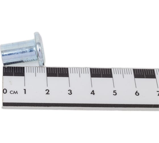 Гайка Эриксона с плоской головкой DINFIX М8 1 шт 00-0004526
