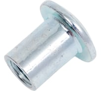 Гайка Эриксона с плоской головкой DINFIX М6 2 шт 00-0004523