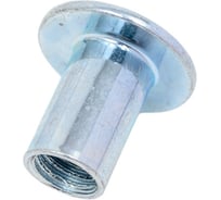 Гайка Эриксона с плоской головкой DINFIX М8 50 шт 00-0004529