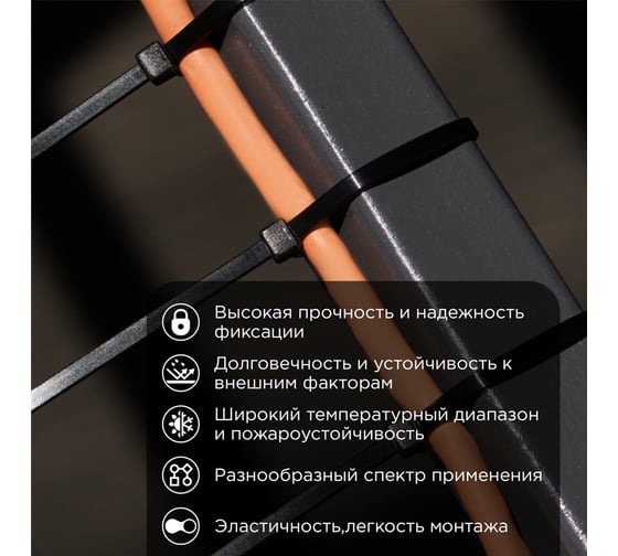 Стяжка кабельная нейлоновая REXANT 700x9 мм, черная, 25 шт. 07-0701-9-25