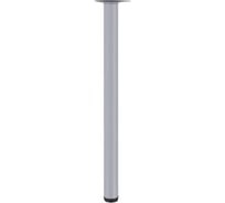 Мебельная опора Госкреп металл, круг (штамп) Ø 50 мм х 710 мм, графит S22212417_3