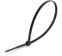 Кабельные стяжки FORTISFLEX КСС NORD 100 шт. 4х250 79747