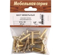 Мебельный винт цки м6х60 ц 23839