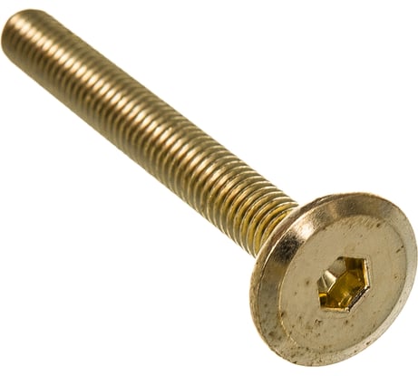 Мебельный винт с плоской головкой ЕВРОПАРТНЕР латунир. М6х50 20шт. 6 1609 6