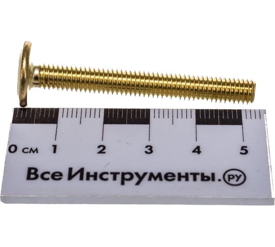 Мебельный винт с плоской головкой ЕВРОПАРТНЕР латунир. М6х50 20шт. 6 1609 6