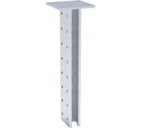 Двойная STRUT-стойка EKF, 41х41х2500мм stsd414125
