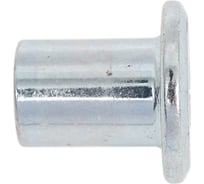 Гайка Эриксона с плоской головкой DINFIX нерж А2 М6 (10 шт) 00-0004812