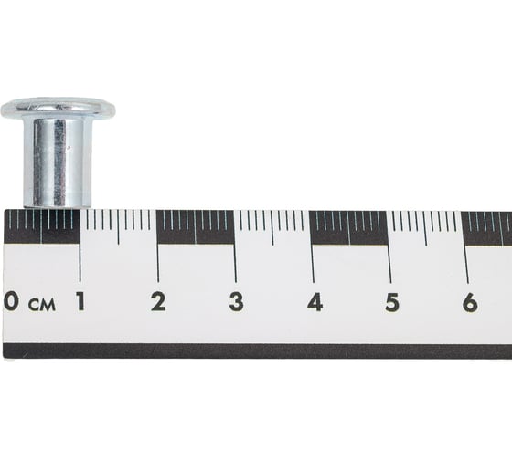 Гайка Эриксона с плоской головкой DINFIX нерж А2 М6 (10 шт) 00-0004812
