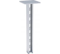 Двойная STRUT-стойка EKF 41х21х2100мм HDZ stsd412121-HDZ