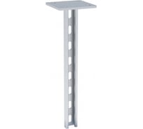 STRUT-стойка EKF 41х21мм, 2100 мм HDZ sts4121210-HDZ