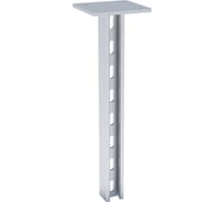 Двойная STRUT-стойка EKF 41х21х1300мм HDZ stsd412113-HDZ