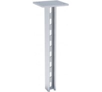 Двойная STRUT-стойка EKF 41х21х1700мм stsd412117