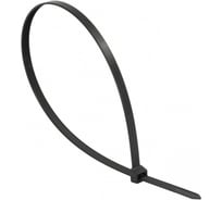 Стандартный хомут EKF FlexLock PROxima P6.6, 2.5x120 100 шт. plc-fl-ctsb-2.5x120