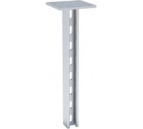 Двойная STRUT-стойка EKF, 41х21х2200мм stsd412122