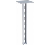 STRUT-стойка EKF 41х21мм, основание 800 мм sts412180