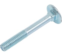 Болт мебельный МЕТАЛЛСЕРВИС M6x45 DIN 603 оцинкованный, 40 шт. МС 1276727