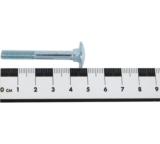 Болт мебельный МЕТАЛЛСЕРВИС M6x45 DIN 603 оцинкованный, 40 шт. МС 1276727