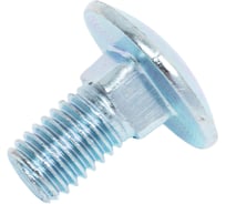 Болт мебельный МЕТАЛЛСЕРВИС М10x20 DIN 603 оцинкованный, 10 шт. МС 1276849