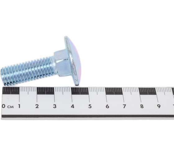Болт мебельный МЕТАЛЛСЕРВИС М12x40 DIN 603 оцинкованный, 30 шт. МС 1276893