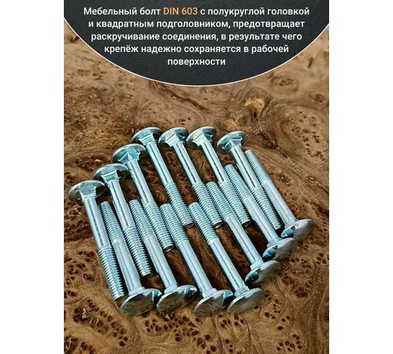 Болт мебельный 23 Болта 6x55 полукруглая головка ОЦ DIN 603, 20 шт. бпгкп655