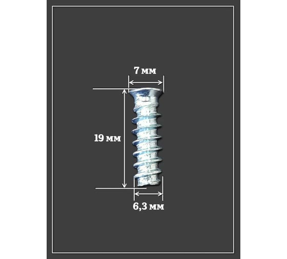 Евро винт потайной 23 Болта 6,3x19 мм ОЦ, 50 шт. 2000000078083ф50