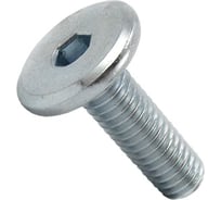 Винт мебельный 23 Болта 6x10 плоский под шестигранник DIN7420, 20 шт. БП-00033099