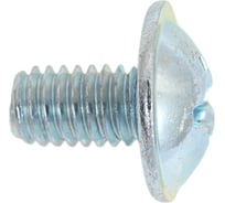 Винт с прессшайбой 23 БОЛТА М6x10 мм мебельный, 10 шт. вм610ф