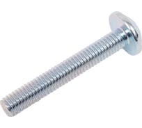 Винт с прессшайбой 23 БОЛТА М6x40 мм мебельный, 10 шт. вм640ф