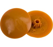 Заглушка на шуруп с крестообразным шлицем PZ 2 ЕВРОПАРТНЕР вишня 50 шт. 16 1596 5