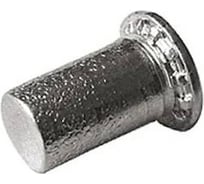 Шпилька запрес. ЦКИ безрезьбовая TP 4x16 Ц, 10 шт. 32487