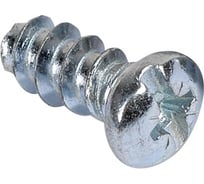 Шуруп AKS EURO EK 6,3х13 мм, 1000 шт. 47458