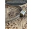 Червячный хомут стяжка 23 БОЛТА 270-290/9 W2 нержавейка, 5 шт. 000Ч270290.9w2 4