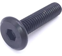 Винт мебельный ОПМ 601008-2 М6x30 black flZnncL-720h 100 шт. УТ000146910